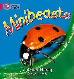 Minibeasts Workbook by Siobhan Hardy