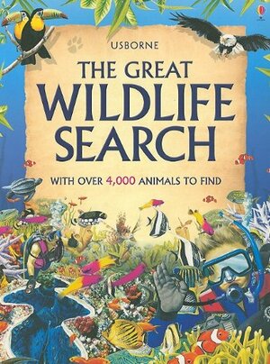 Great Wildlife Search by Andy Griffin, Caroline Young, Kate Needham, Andy Dixon