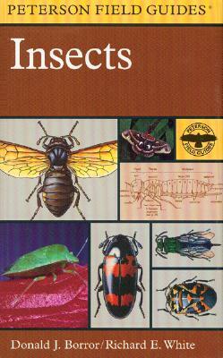 A Peterson Field Guide to Insects: America North of Mexico by Donald J. Borror, Richard E. White