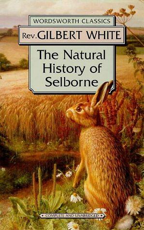 Natural History Of Selborne by Gilbert White