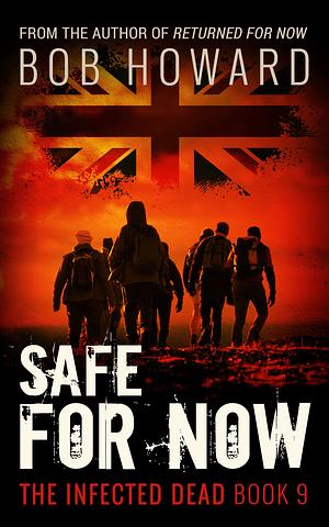 Safe for Now by Bob Howard, Bob Howard