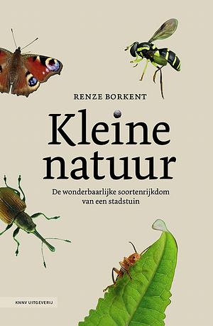 Kleine natuur: de wonderbaarlijke soortenrijkdom van een stadstuin by Denise Larsen