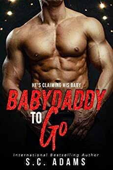 Babydaddy To Go by S.C. Adams