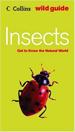 Insects by Bob Gibbons
