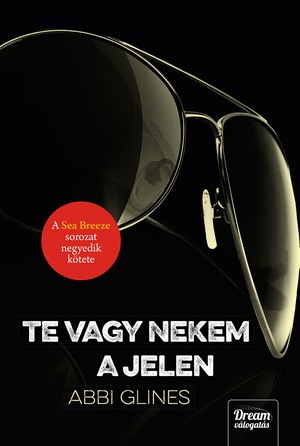 Te ​vagy nekem a jelen by Abbi Glines