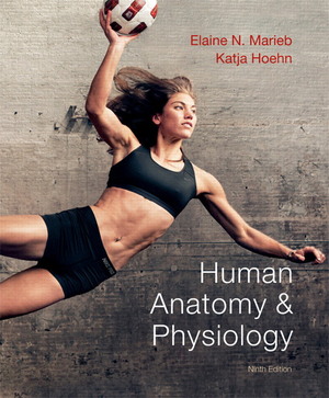 Human Anatomy & Physiology With CDROM and A Brief Atlas of the Human Body and Access Code by Elaine N. Marieb, Katja Hoehn