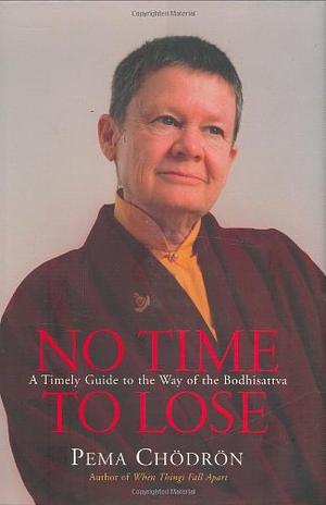 No Time to Lose: A Timely Guide to the Way of the Bodhisattva by Pema Chödrön