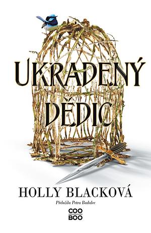 Ukradený dědic by Holly Black