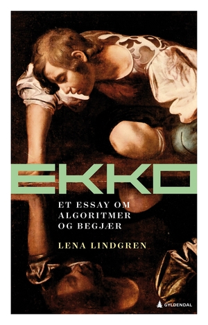 Ekko. Et essay om algoritmer og begjær by Lena Lindgren