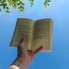 rogier_vdw's profile picture