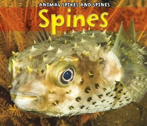 Spines by Rebecca Rissman