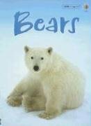 Bears, Level 1: Internet Referenced by Emma Helbrough