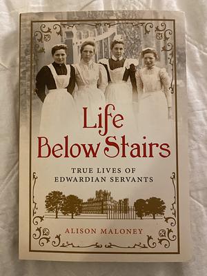 Life Below Stairs by Alison Maloney