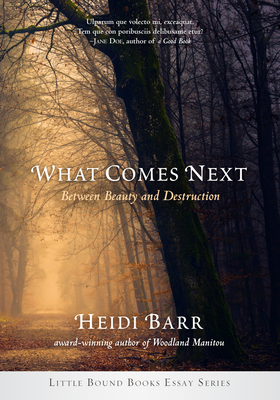 What Comes Next by Heidi Barr