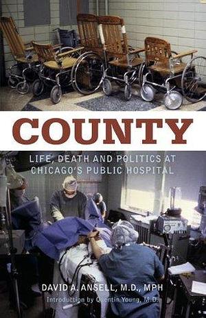 County: Life, Death and Politics at Chicago's Public Hospital : Life, Death and Politics at Chicago's Public Hospital by David A. Ansell, David A. Ansell