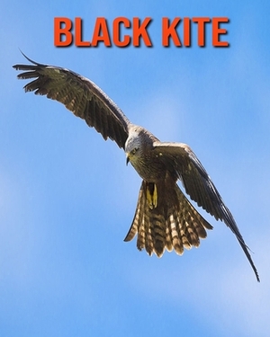 Black kite: Learn About Black kite and Enjoy Colorful Pictures by Diane Jackson