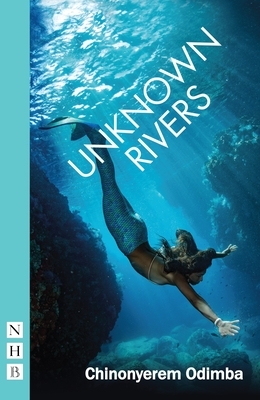 Unknown Rivers by Chinonyerem Odimba