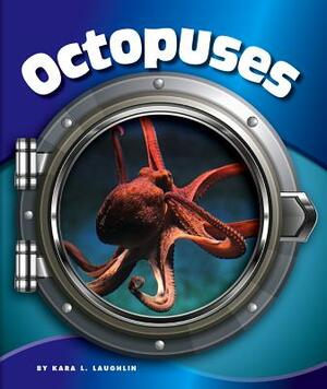 Octopuses by Kara L. Laughlin