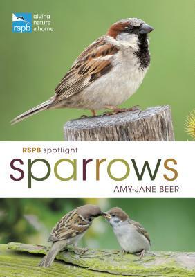 Rspb Spotlight Sparrows by Amy-Jane Beer