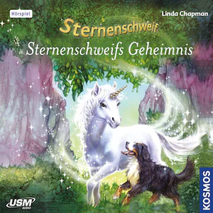 Sternenschweifs Geheimnis by Linda Chapman