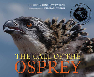 Call of the Osprey by William Muñoz, Dorothy Hinshaw Patent