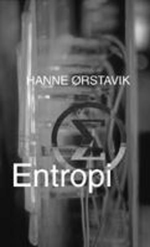 Entropi by Hanne Ørstavik