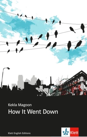 How It Went Down by Kekla Magoon