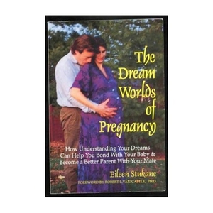 Dream Worlds of Pregnancy by Eileen Stukane