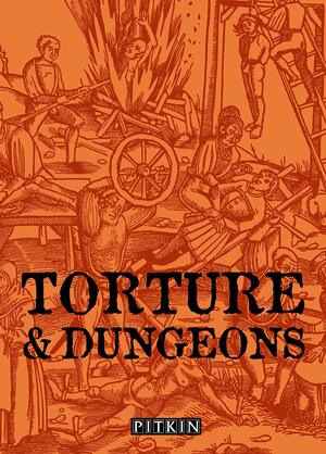 Dungeons and Torture by John McIlwain