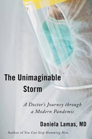 The Unimaginable Storm: A Doctor's Journey Through a Modern Pandemic by Daniela Lamas