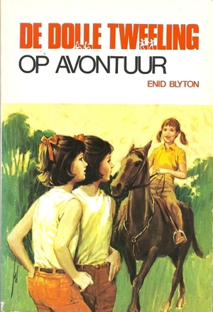 De dolle tweeling op avontuur by Enid Blyton, Margaret R. Schilders