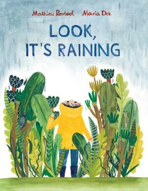 Look, It's Raining by Mathieu Pierloot