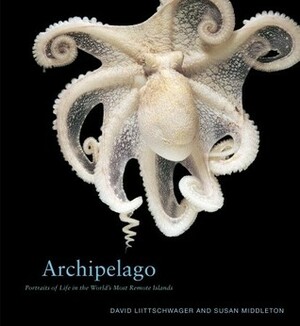 Archipelago: Portraits of Life in the World's Most Remote Island Sanctuary by Susan Middleton, David Liittschwager