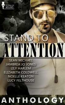 Stand to Attention by Jambrea Jo Jones, Elizabeth Coldwell, Lucy Felthouse, Lily Harlem, Sean Michael, Noelle Keaton