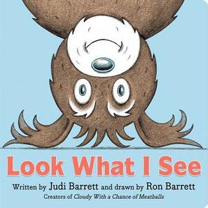 Look What I See by Judi Barrett