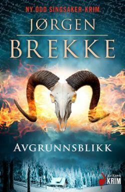 Avgrunnsblikk by Jørgen Brekke