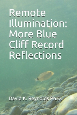 Remote Illumination: More Blue Cliff Record Reflections by David K. Reynolds Ph. D.