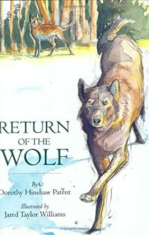 Return of the Wolf by Dorothy Hinshaw Patent, Jared Taylor Williams