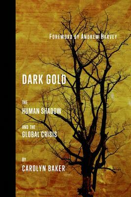 Dark Gold: The Human Shadow and the Global Crisis by Carolyn Baker