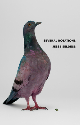 Several Rotations by Jesse Seldess