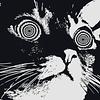 jimmymcsnakes's profile picture