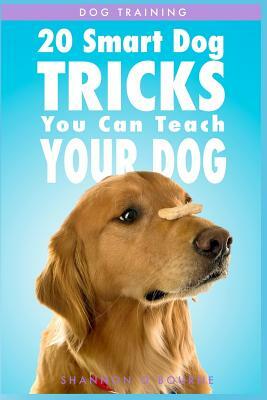 Dog Training: 20 Smart Dog Tricks You Can Teach Your Dog by Shannon O'Bourne