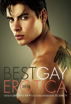 Best Gay Erotica 2014 by Lee Hitt, Larry Duplechan, K. Lynn