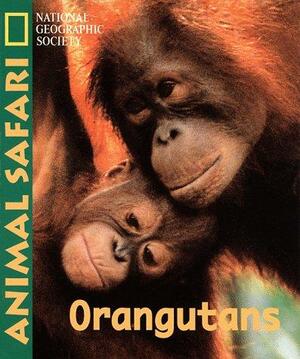 Orangutans by National Geographic, M.C. Helldorfer