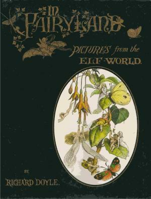 In Fairyland: A Series of Pictures from the Elf World by Richard Doyle