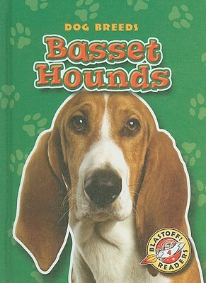 Basset Hounds by Sara Green