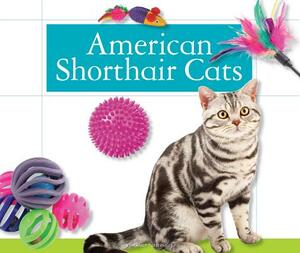 American Shorthair Cats by Nancy Furstinger