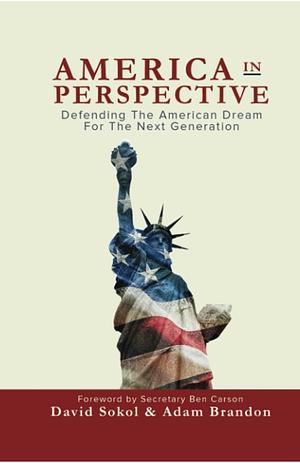 America In Perspective  by Adam Brandon, David Sokol (Businessman)