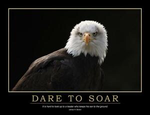 Dare to Soar Poster by Enna