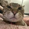 cassiemanrique's profile picture